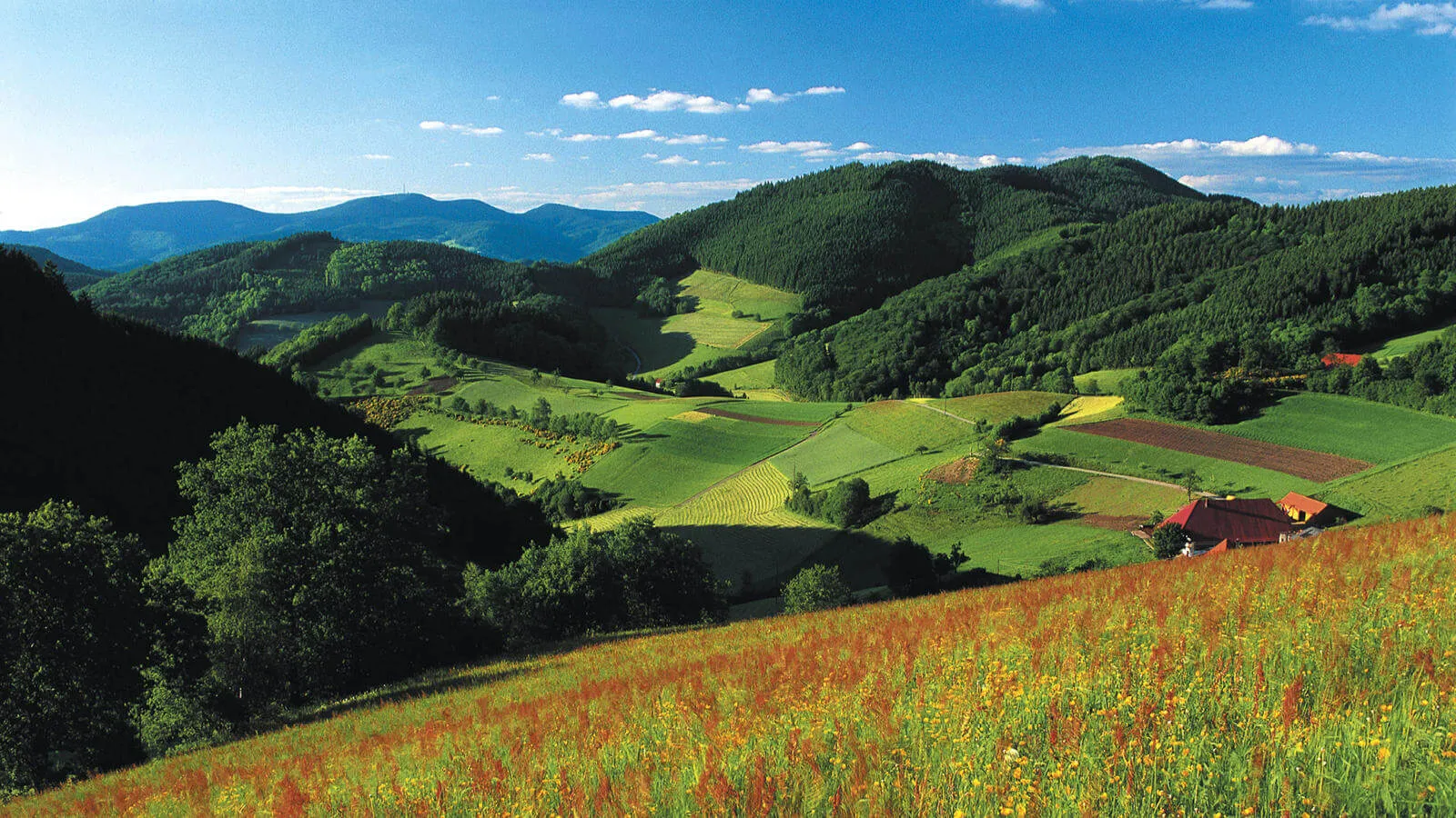 France & Switzerland 8N/9D